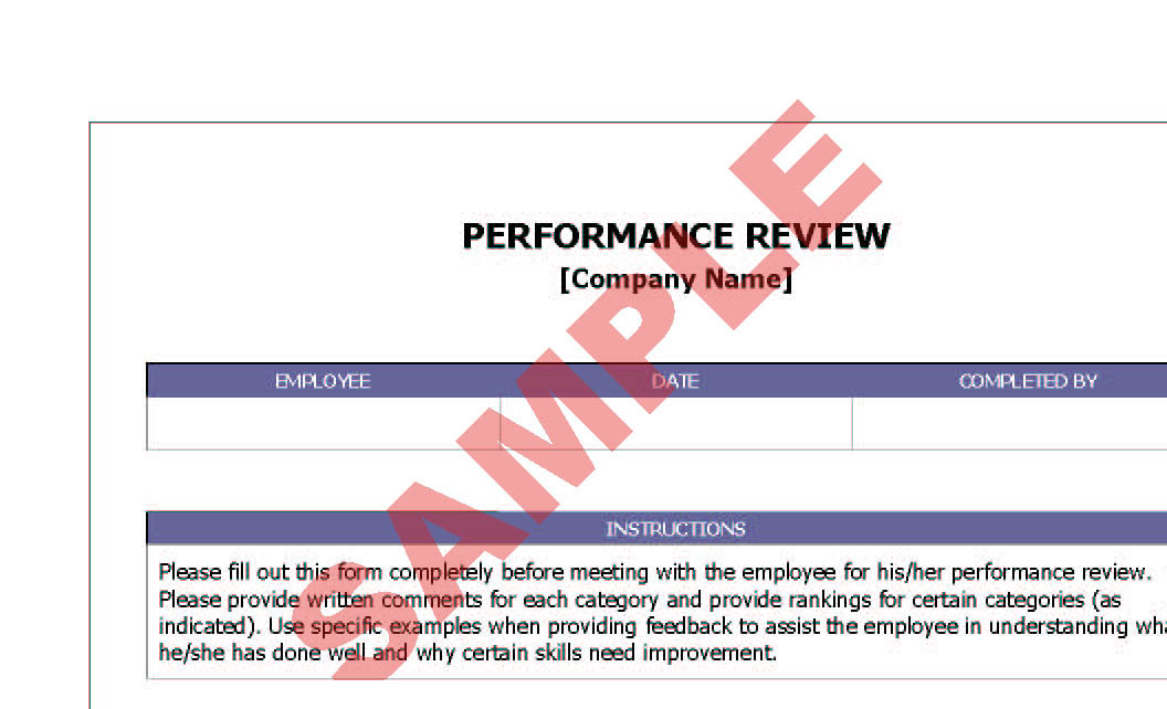 Performance Review: Business Performance Review