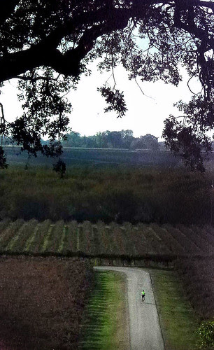 giro d' vino 4