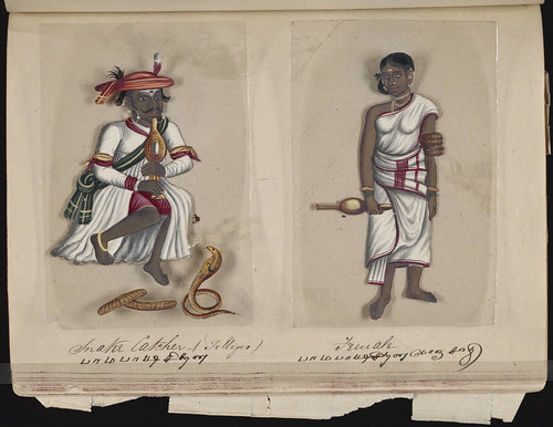 Snake catcher (Telligoo) - Female, Madura, 1837