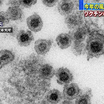 風疹患者、千人超え大流行の懸念 専門家、ワクチン接種呼び掛け - 日本経済新聞