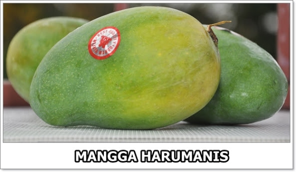 Mangga Harumanis-6-01