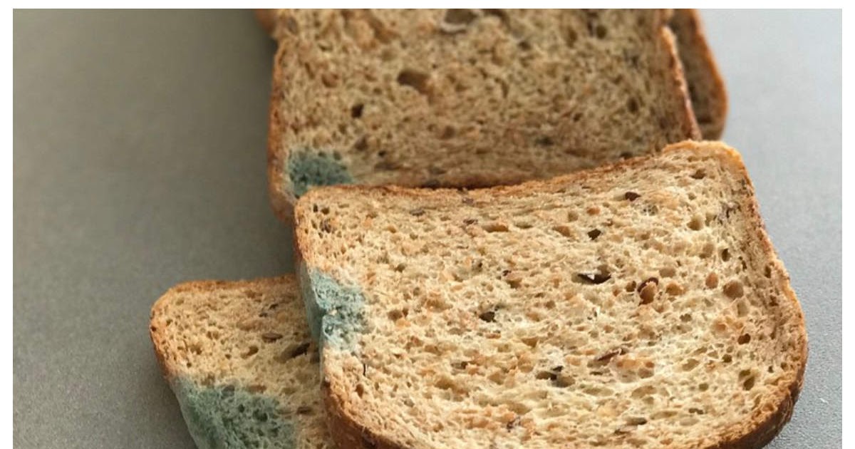 What Happens If You Eat Moldy Bread While Pregnant - Bread Poster