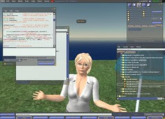 Teaching in Second Life can be confusing