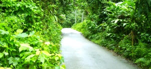 jalan kampung semak-samun jalan Kampung Berangan