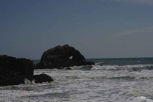 sf0018