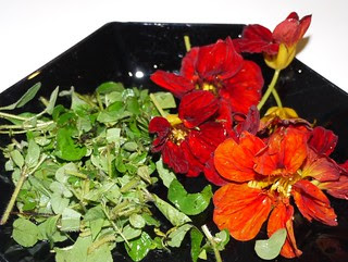Blomkarse og urter