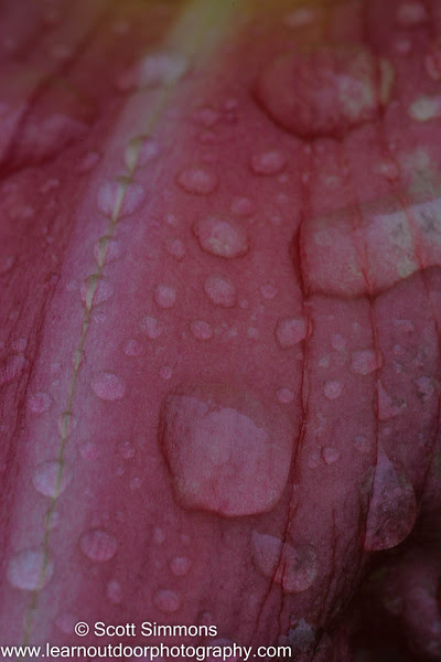 Photo & Video Sharing by SmugMug Photo & Video Sharing by SmugMug