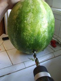 Sandia SelfService para le verano