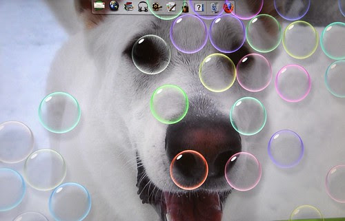 my background is Sam - I think he would have liked bubbles