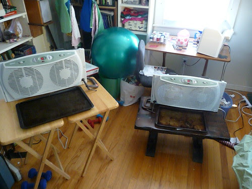 DIY Evaporative Cooling in a Heat Wave
