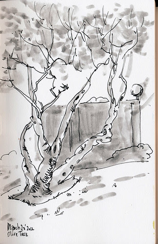 March 2012: Olive Tree by apple-pine