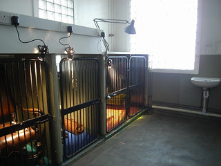 Cages for art