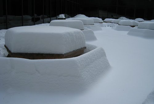 picnic tables in the snow