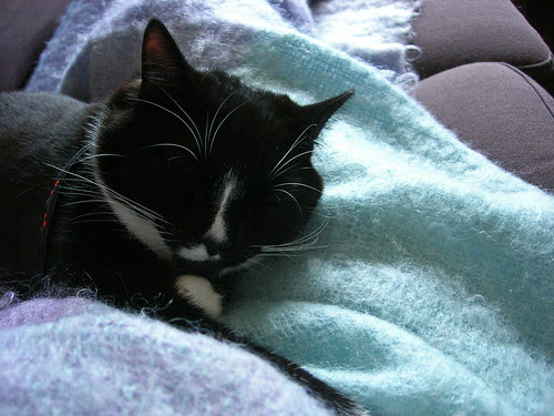 Suki