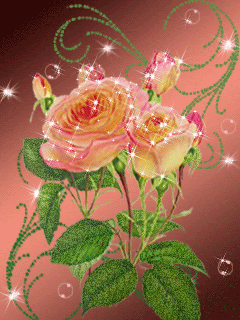 Кустистые розы