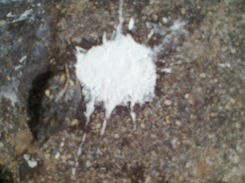Foto0035