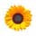 zonnebloem