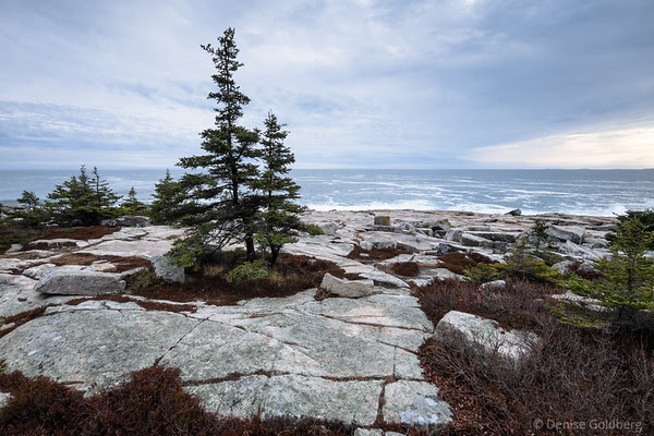 at the tip of the Schoodic Peninsula