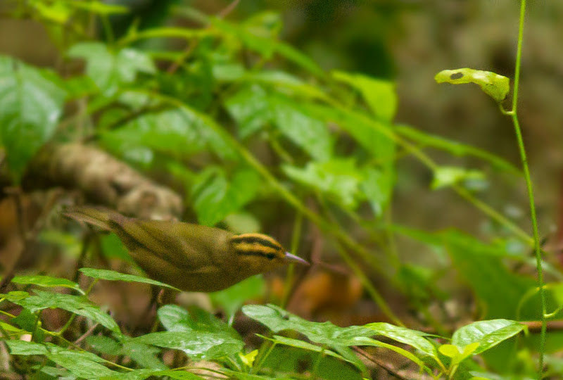 Photo & Video Sharing by SmugMug Photo & Video Sharing by SmugMug