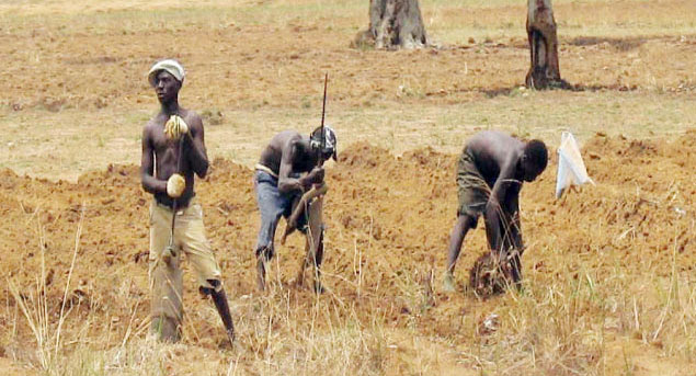 Gbagyi History , Gbagyi music , Gbagyi songs , Gbagyi logo , Gbagy dressing , Gbagyi names , Gbagyi proverbs , gbagyi festival , Gbagyi cultural dance , Gbagyi traditional attire , Gbagyi woman , Gbagyi food , Gbagyi dance , Gbagyi praise , Gbagyi bible