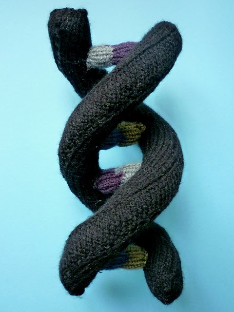 Knitted DNA model Design by Kimberly Chapman Knitted DNA model Design by Kimberly Chapman