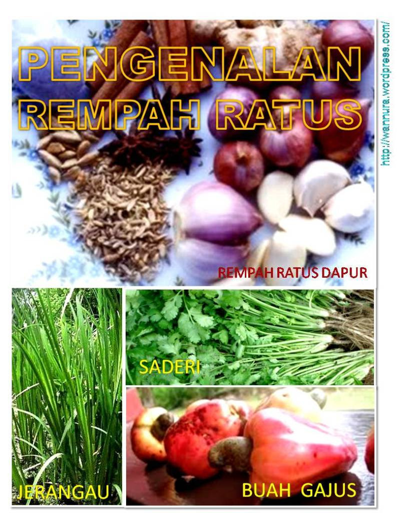Pengenalan