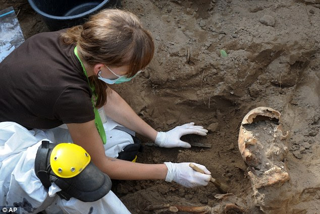 Grim: More than 100 skeletons, mostly of men, have already been dug up this summer. In this photo an archeologist uncovers a skeleton during works at the cemetery