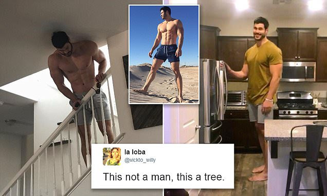 Fitness trainer goes viral after being compared to a tree
