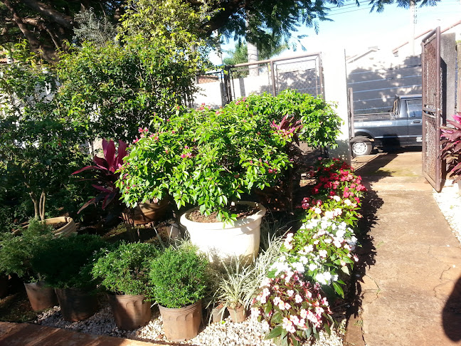 Landscape Floricultura - Campo Grande