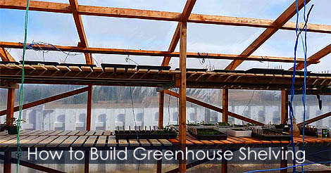 Diy Greenhouse Shelving Ideas