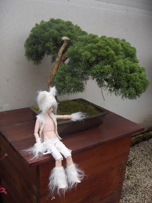 Japanese Garden