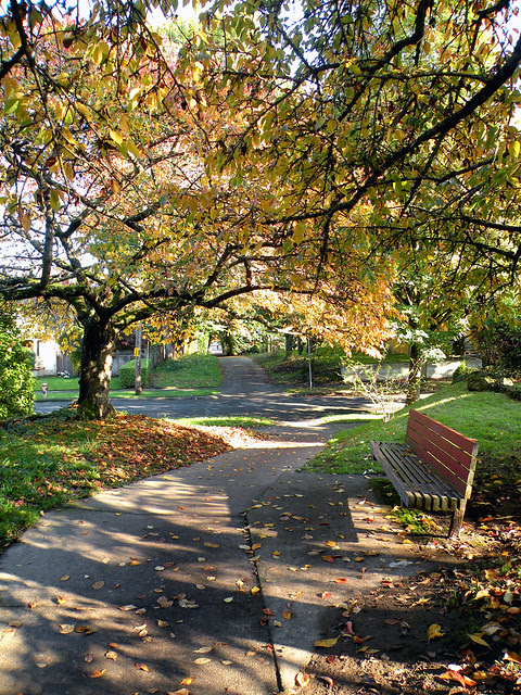 A Resting Seat Along the Path
