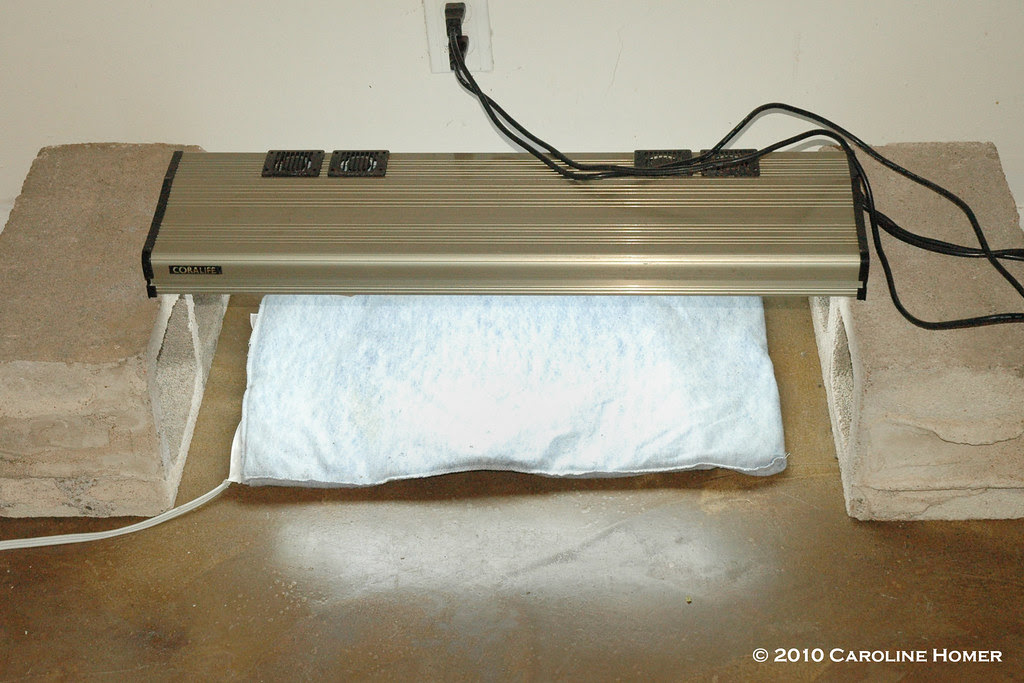 DIY Seed Starting System