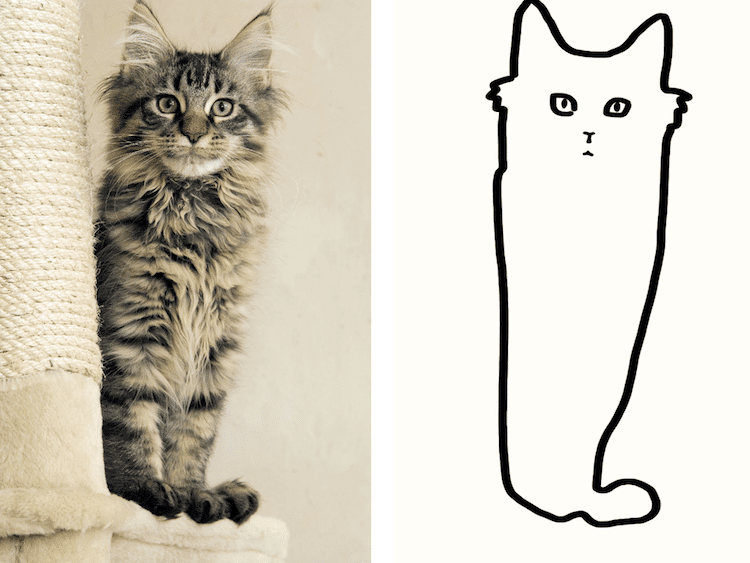 98 Gambar Hewan Kucing Yang Mudah Digambar Gratis Terbaik