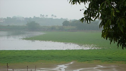 1A9423_UL.jpg
