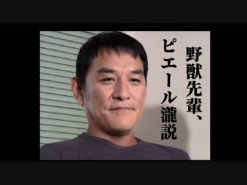 おしゃれな 野獣 画像 新鮮な画像がかわいい