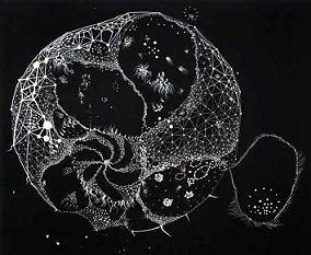 navel cell