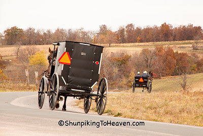 Amish Buggy, Vernon County, Wisconsin