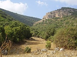 A vegetação de tipo mediterrânico no Monte Carmelo.