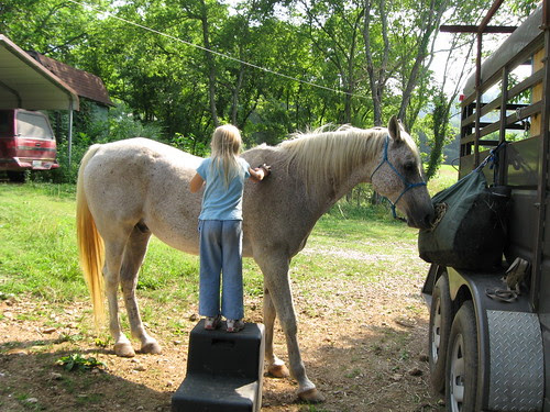 Rinnah brushing Serts