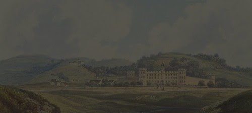 landscape flipped & darkened