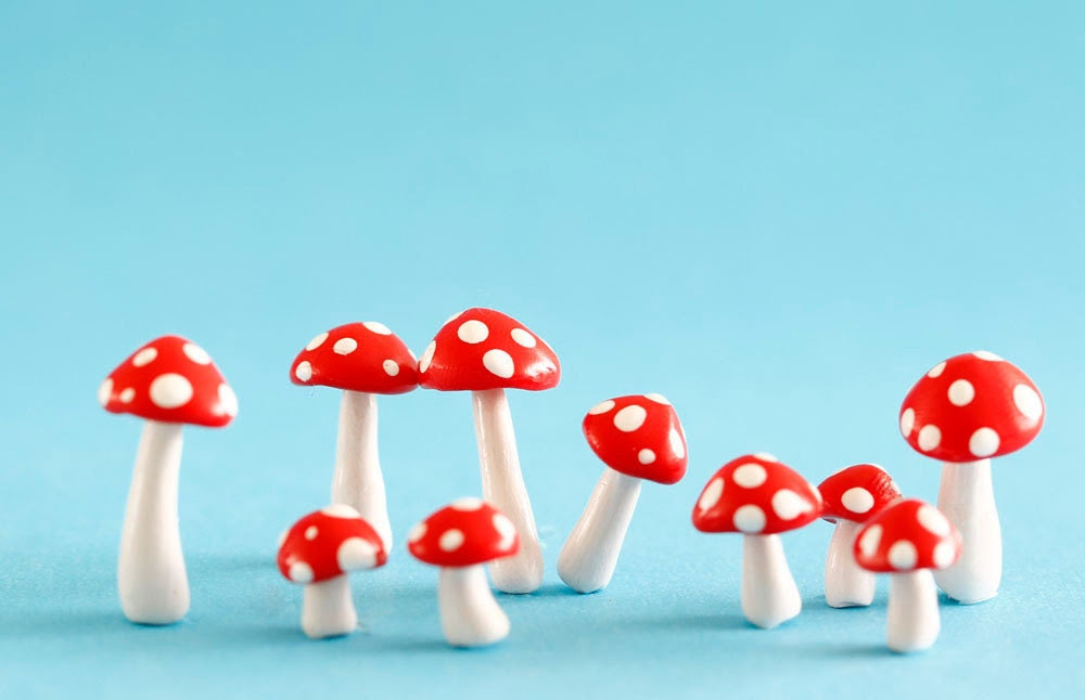 Set of ten red and white toadstools for terrariums, plants or cake toppers - ratbeankat Set of ten red and white toadstools for terrariums, plants or cake toppers - ratbeankat