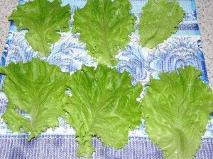 сушка листьев салата