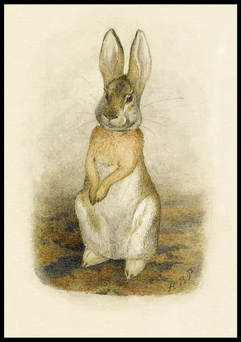 Hare sitting on a patterned carpet