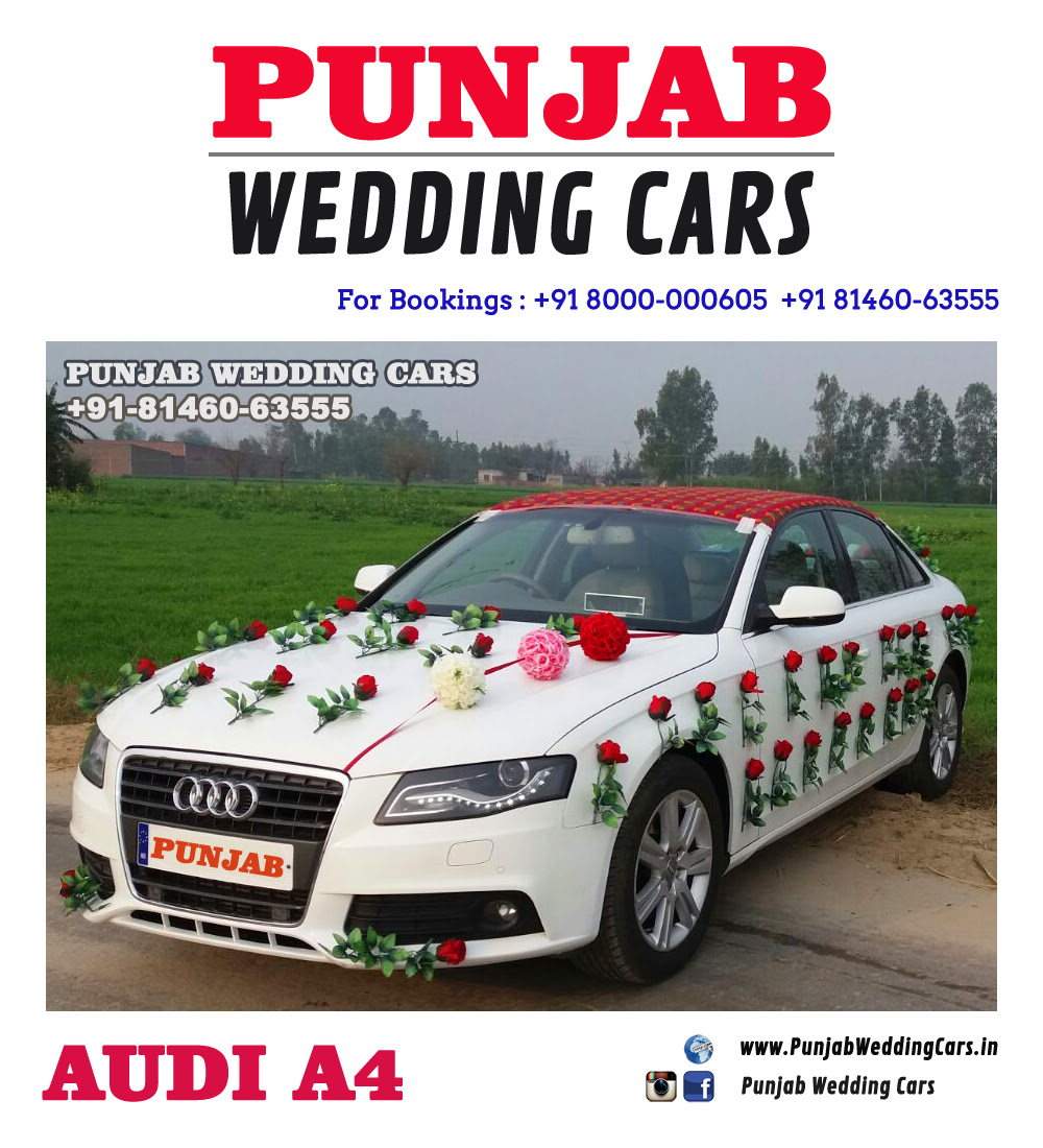 Cheap Garden Supplies Decorated Wedding Cars Photos