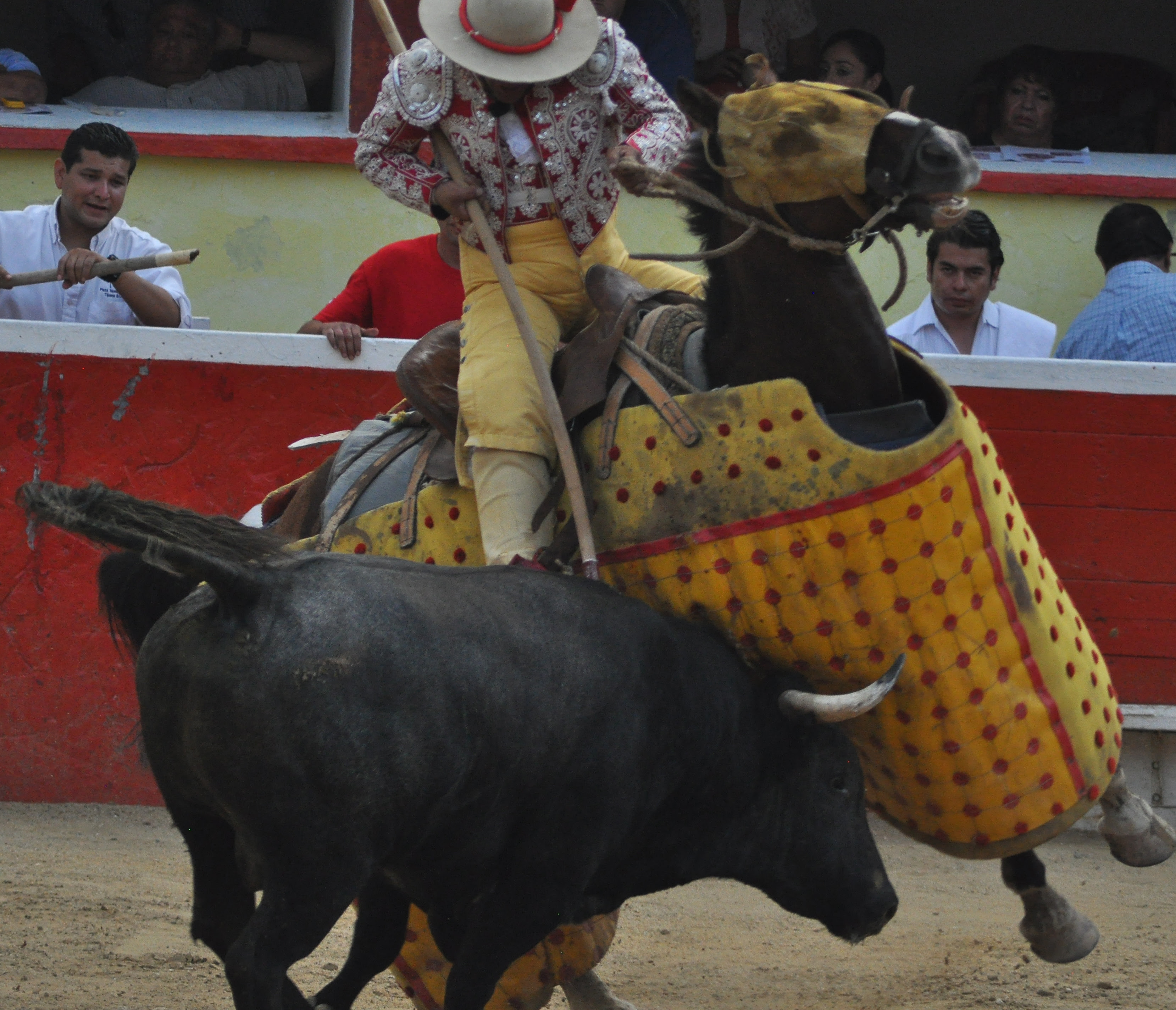 Bull Fighting Tijuana Bull Fights