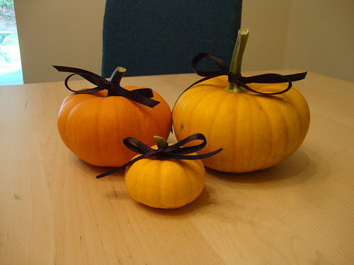 Pumpkin Family Portrait picture day:  pumpkins A (2 months), M (21 days), and J (1 month)