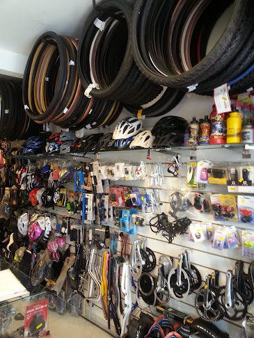 Bike Roby 411 SUL