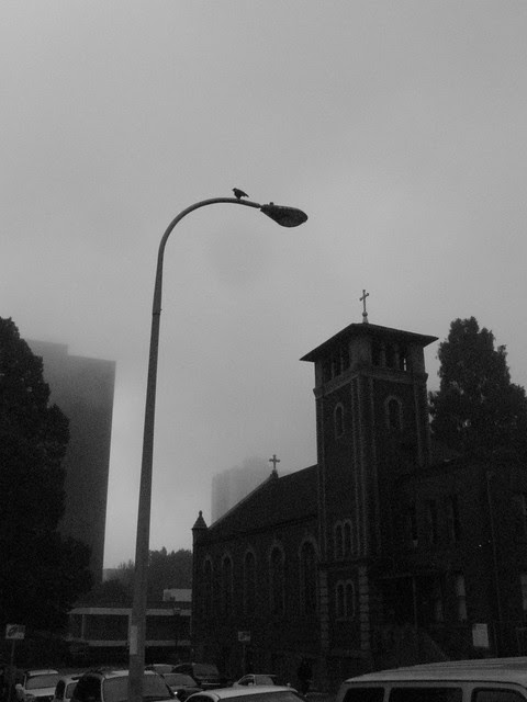 autumn_fog2
