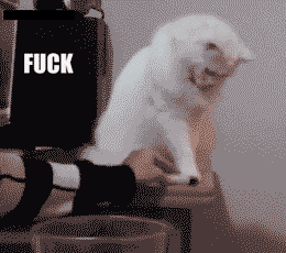 http://i.kinja-img.com/gawker-media/image/upload/s--Z_kMFal9--/ginhhjpia0ebqxmjakbo.gif